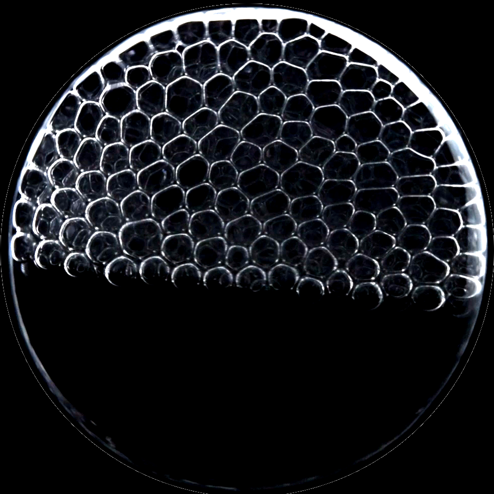 Monodispersed bubble medium in a rotating tumbler.