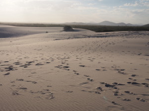 Sand dunes (Australia)