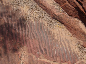 Fossil dunes in Kings Canyon (central Australia)